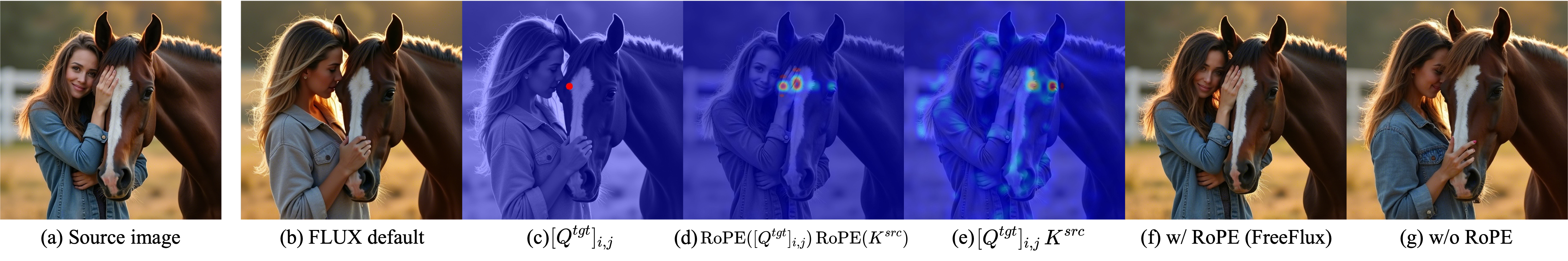 Attention Collapse Analysis